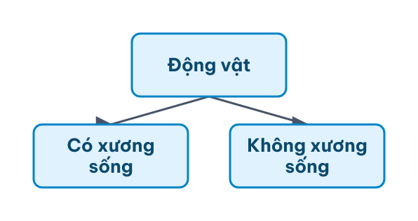 Sơ đồ cây phân loại động vật thành nhóm có và không có xương sống